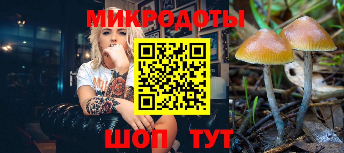Псилоцибиновые грибы мицелий Рузаевка